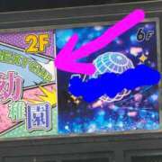 ヒメ日記 2026/06/13 18:43 投稿 さわ 性腺熟女100％本店（デリヘル市場）