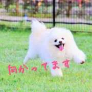 ヒメ日記 2024/12/10 13:57 投稿 及川 潤 昼妻夜 滋賀店