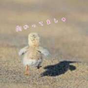 ヒメ日記 2024/12/12 10:18 投稿 及川 潤 昼妻夜 滋賀店