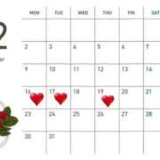 ヒメ日記 2024/12/14 20:42 投稿 及川 潤 昼妻夜 滋賀店