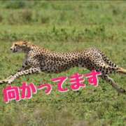 ヒメ日記 2024/12/17 14:03 投稿 及川 潤 昼妻夜 滋賀店