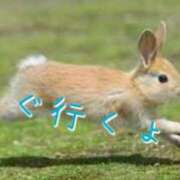 ヒメ日記 2024/12/19 10:18 投稿 及川 潤 昼妻夜 滋賀店