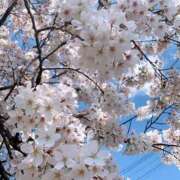 ヒメ日記 2025/04/06 20:18 投稿 及川 潤 昼妻夜 滋賀店