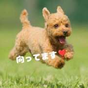 ヒメ日記 2025/04/14 14:18 投稿 及川 潤 昼妻夜 滋賀店