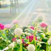 ヒメ日記 2025/04/17 08:33 投稿 及川 潤 昼妻夜 滋賀店