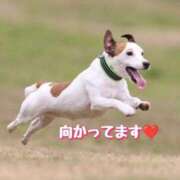 ヒメ日記 2025/04/20 11:12 投稿 及川 潤 昼妻夜 滋賀店