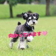 ヒメ日記 2025/05/22 12:48 投稿 及川 潤 昼妻夜 滋賀店