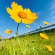 ヒメ日記 2025/05/26 10:03 投稿 及川 潤 昼妻夜 滋賀店