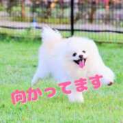 ヒメ日記 2025/05/26 12:48 投稿 及川 潤 昼妻夜 滋賀店