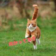 ヒメ日記 2025/06/10 13:33 投稿 及川 潤 昼妻夜 滋賀店