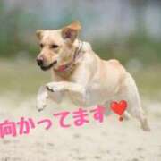 ヒメ日記 2025/06/17 13:33 投稿 及川 潤 昼妻夜 滋賀店