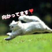 ヒメ日記 2025/07/01 13:48 投稿 及川 潤 昼妻夜 滋賀店