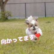 ヒメ日記 2025/07/08 13:36 投稿 及川 潤 昼妻夜 滋賀店