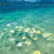 ヒメ日記 2025/07/15 08:45 投稿 及川 潤 昼妻夜 滋賀店