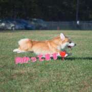 ヒメ日記 2025/07/15 15:33 投稿 及川 潤 昼妻夜 滋賀店