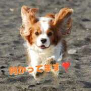 ヒメ日記 2025/07/17 10:21 投稿 及川 潤 昼妻夜 滋賀店