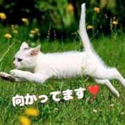 ヒメ日記 2025/07/17 14:48 投稿 及川 潤 昼妻夜 滋賀店