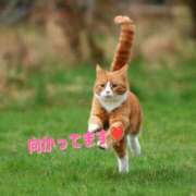 ヒメ日記 2025/07/28 10:39 投稿 及川 潤 昼妻夜 滋賀店