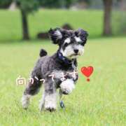 ヒメ日記 2025/07/29 13:36 投稿 及川 潤 昼妻夜 滋賀店