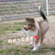 ヒメ日記 2025/07/31 13:30 投稿 及川 潤 昼妻夜 滋賀店