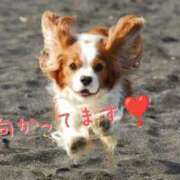 ヒメ日記 2025/08/18 10:51 投稿 及川 潤 昼妻夜 滋賀店