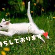 ヒメ日記 2025/08/18 14:12 投稿 及川 潤 昼妻夜 滋賀店