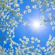 ヒメ日記 2025/08/21 10:09 投稿 及川 潤 昼妻夜 滋賀店