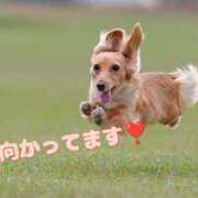 ヒメ日記 2025/08/21 13:21 投稿 及川 潤 昼妻夜 滋賀店