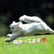 ヒメ日記 2025/09/02 13:48 投稿 及川 潤 昼妻夜 滋賀店