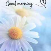 ヒメ日記 2025/09/18 08:51 投稿 及川 潤 昼妻夜 滋賀店