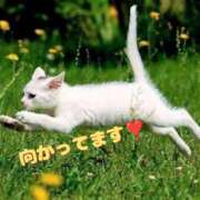 ヒメ日記 2025/10/20 13:36 投稿 及川 潤 昼妻夜 滋賀店