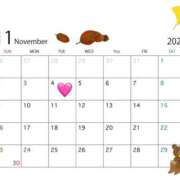 ヒメ日記 2025/11/03 20:18 投稿 及川 潤 昼妻夜 滋賀店