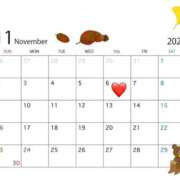 ヒメ日記 2025/11/05 18:48 投稿 及川 潤 昼妻夜 滋賀店