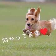 ヒメ日記 2025/12/25 13:33 投稿 及川 潤 昼妻夜 滋賀店