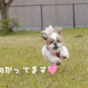 ヒメ日記 2025/12/25 16:18 投稿 及川 潤 昼妻夜 滋賀店