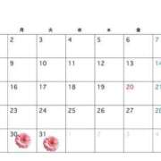 ヒメ日記 2026/03/29 17:18 投稿 及川 潤 昼妻夜 滋賀店