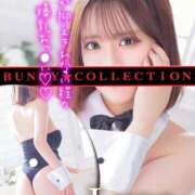 ヒメ日記 2025/04/02 12:00 投稿 ラナ【おっとり癒し系美女】 バニーコレクション 中洲店