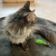 ヒメ日記 2025/03/18 22:29 投稿 えり sweet kiss