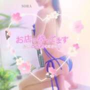 ヒメ日記 2025/03/23 13:13 投稿 結城そら 性感回春アロマSPA金沢店