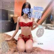 ヒメ日記 2025/11/21 18:57 投稿 結城そら 性感回春アロマSPA金沢店