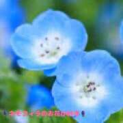 ヒメ日記 2025/04/30 00:17 投稿 ひなた 鶯谷おかあさん