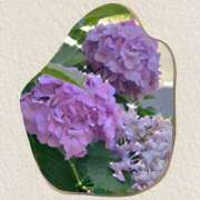 ヒメ日記 2025/06/25 12:25 投稿 ひなた 鶯谷おかあさん