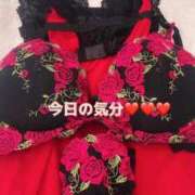 ヒメ日記 2025/09/18 09:40 投稿 ひなた 鶯谷おかあさん