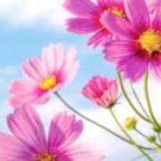 ヒメ日記 2025/10/12 15:59 投稿 ひなた 鶯谷おかあさん