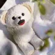 ヒメ日記 2024/12/18 22:35 投稿 ゆりこ 横浜おかあさん