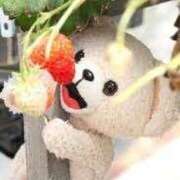 ヒメ日記 2024/12/25 19:25 投稿 ゆりこ 横浜おかあさん