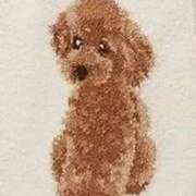 ヒメ日記 2025/01/06 21:45 投稿 ゆりこ 横浜おかあさん