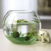 ヒメ日記 2025/03/14 11:08 投稿 ゆりこ 横浜おかあさん