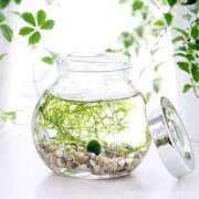 ヒメ日記 2025/03/21 18:25 投稿 ゆりこ 横浜おかあさん