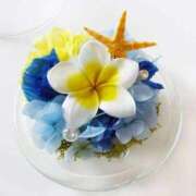 ヒメ日記 2025/03/25 12:55 投稿 ゆりこ 横浜おかあさん